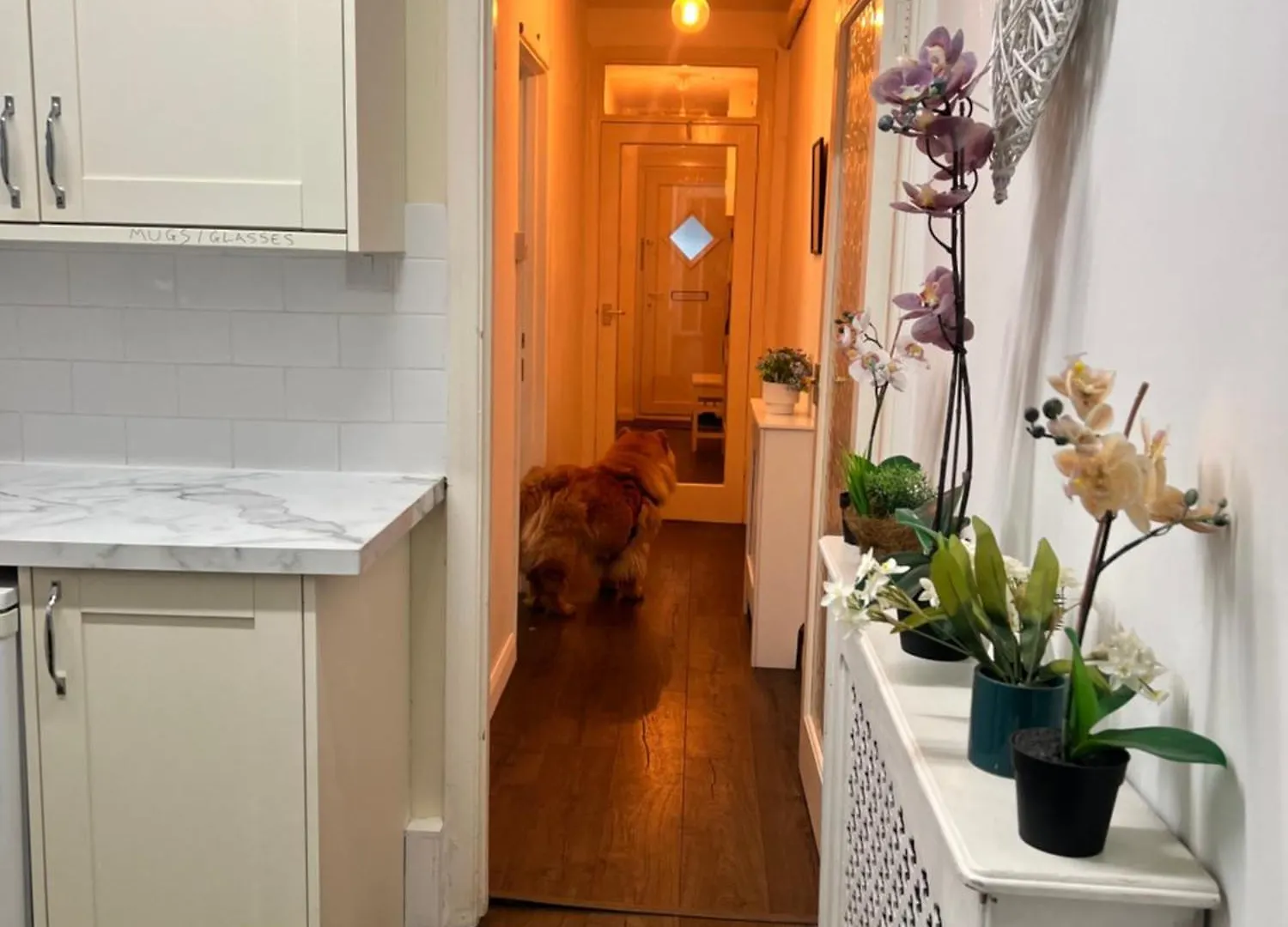 Homestay Spacious Apartment - 2 Dogs Live At The Property Brighton